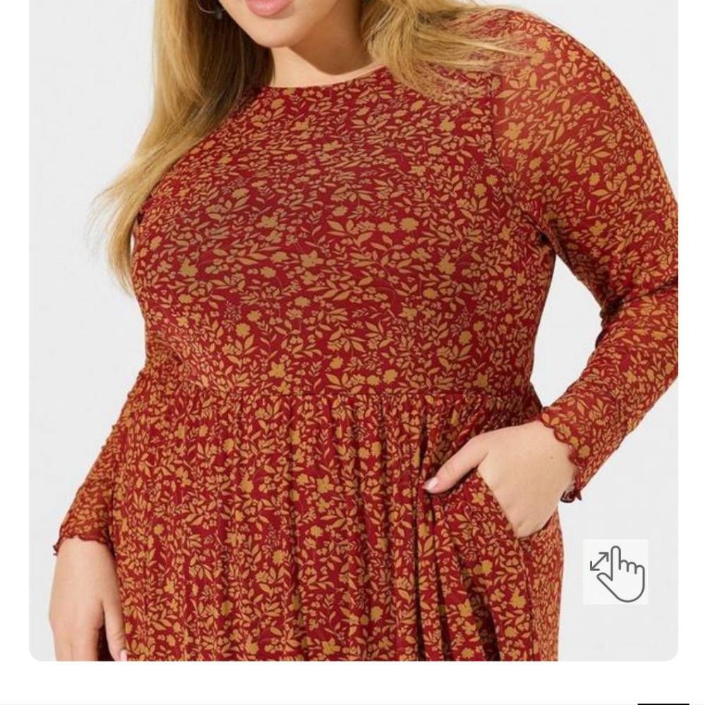 Mesh Ruffled Mini Dress - Picture 2 of 8